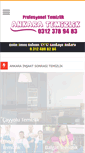 Mobile Screenshot of ankaratemizlik.com